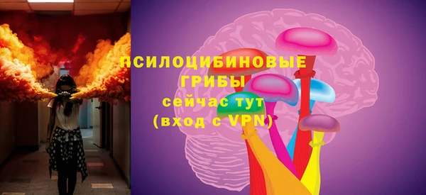 крисы Алексин