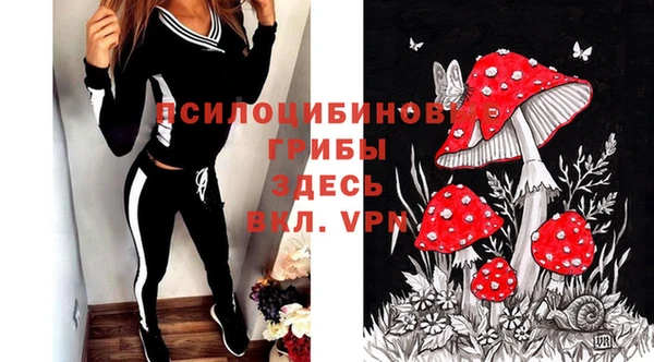 крисы Алексин