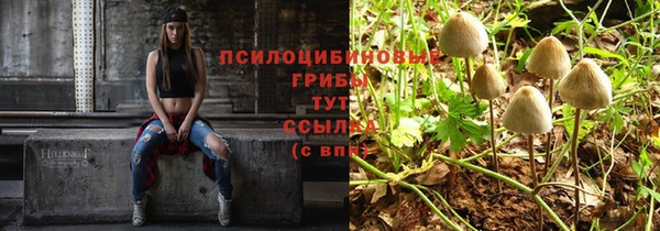 соль курить ск Алексеевка