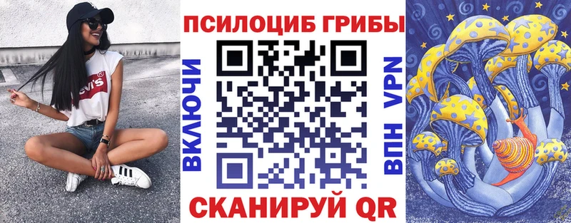 купить наркотики цена  Казань  Галлюциногенные грибы Magic Shrooms 